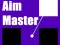 Igra Aim Master spletu