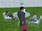 Igra Millionaire Simulator 2024 spletu