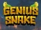 Igra Genius Snake spletu