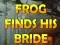 Igra Frog Finds His Bride spletu