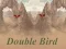 Igra Double Bird spletu