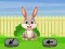 Igra Springtime Escape spletu