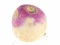 Igra Turnip spletu