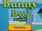 Igra Bunny Boy Online spletu