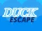 Igra Duck Escape spletu