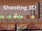 Igra Shooting 3D spletu
