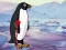 Igra Heal the Wounded Penguin spletu