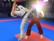 Igra Karate Fighter spletu