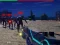 Igra Zombie Survivor spletu