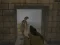 Igra Silent Asylum 2 spletu