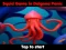 Igra Squid Game In Dalgona Panic spletu