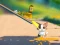 Igra Cat Challenge spletu
