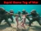 Igra Squid Game Tug Of War spletu
