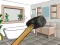 Igra Smash The Room To Pieces spletu