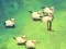 Igra Shleep spletu