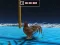 Igra Animal Impossible Track Rush spletu