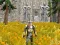 Igra Axe Of The Ancients Dwarven Fury spletu