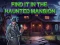 Igra Find It In The Haunted Mansion spletu