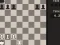 Igra Fun Chess Puzzles! spletu