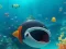Igra Escape The Shark Cage spletu