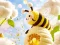 Igra Find The Differences: Little Bee's Adventure spletu