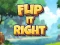 Igra Flip It Right spletu