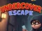 Igra Undercover Escape spletu