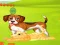 Igra Bunny Key Quest spletu