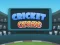 Igra Cricket Craze spletu