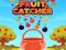 Igra Fruit Catchere spletu