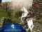 Igra Ertugrul Gazi Horse Sim spletu