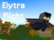 Igra Elytra Flight spletu
