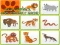 Igra Wild Animals Kids Memory game spletu