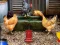 Igra Poultry Farm Easter Escape spletu