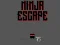 Igra Ninja escape spletu