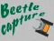 Igra Beetle Capture spletu
