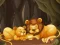 Igra Fun Zoo Animals Jigsaw spletu