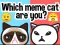 Igra Which Meme Cat Are You? spletu