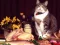 Igra Funny Cats Puzzle spletu