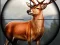 Igra Animal Safari Hunter 2020 spletu