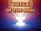 Igra Voice Of The Soul spletu
