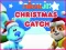 Igra Nick Jr. Christmas Catch spletu