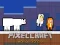 Igra PixelCraft Animal School spletu