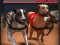 Igra Greyhound Racing spletu
