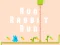 Igra Run Rabbit Run spletu