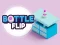 Igra Bottle Flip spletu