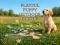 Igra Playful Puppy Outdoor Puzzle spletu