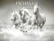 Igra Horses Puzzle spletu
