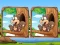Igra Jungle 5 Diffs spletu