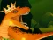 Igra The Dino King spletu